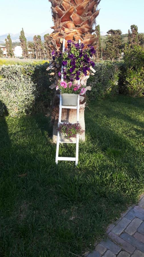 Beb Oasi Marina Bed and Breakfast Campofelice Di Roccella Buitenkant foto