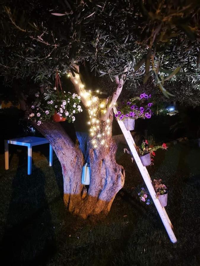 Beb Oasi Marina Bed and Breakfast Campofelice Di Roccella Buitenkant foto