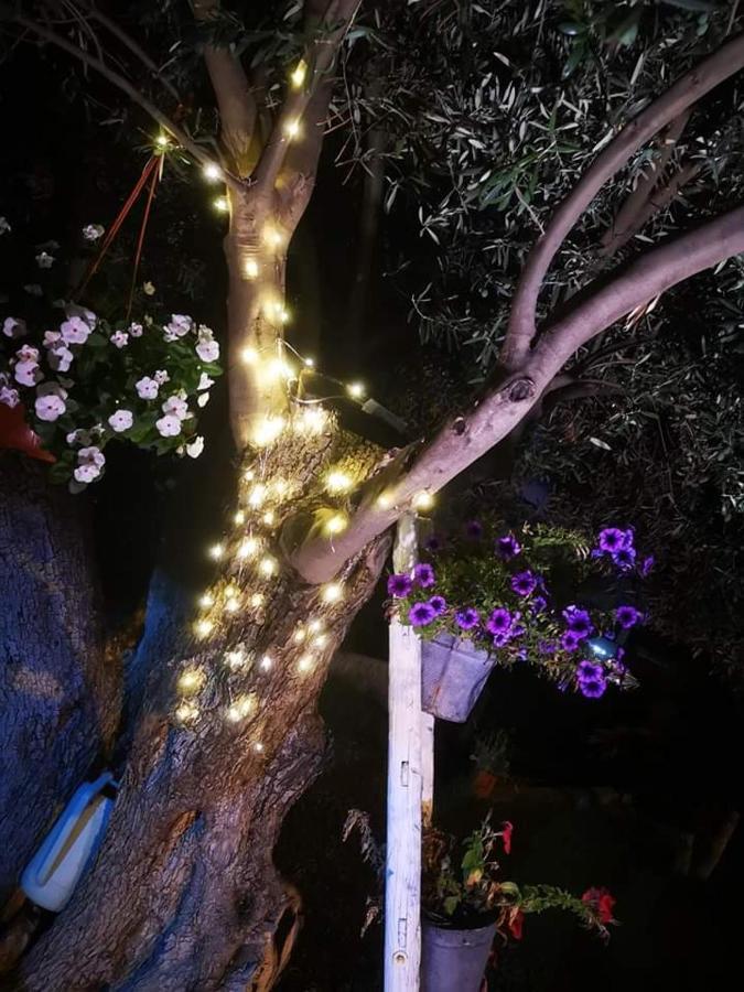 Beb Oasi Marina Bed and Breakfast Campofelice Di Roccella Buitenkant foto